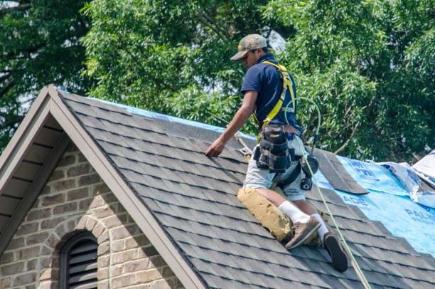Best Shingle Roofing Installation  in Hastings, NE